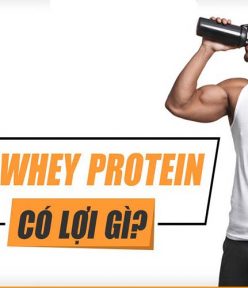 Whey Protein có tác dụng gì với người tập Gym