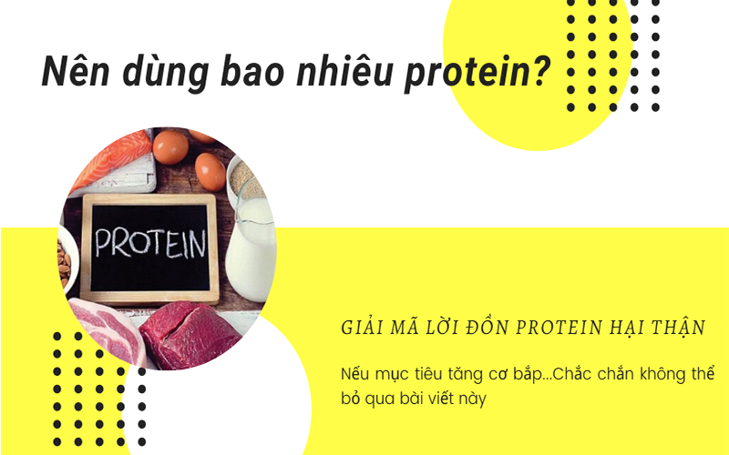 Lượng Protein cần nạp vào cơ thể mỗi ngày