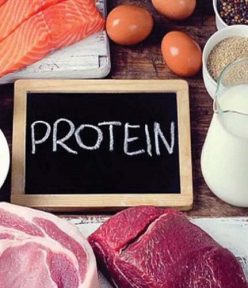Protein có vai trò gì đối với cơ thể