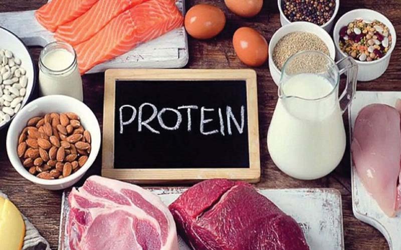 Protein là chất gì?