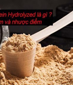 Top 5 loại Whey Protein Hydrolyzed nên mua