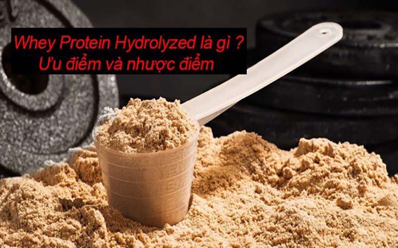Tìm hiểu whey protein hydrolyzed là gì?