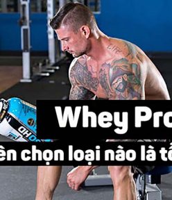 Whey Protein tốt nhất hiện nay cho người tập Gym