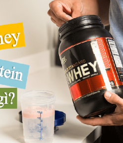 Đánh giá bột Whey Protein và những thông tin cần biết
