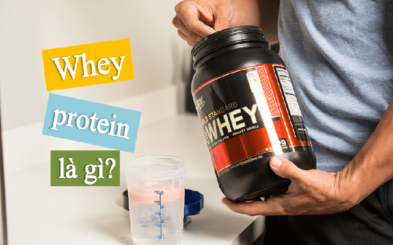 Tìm hiểu về Whey Protein