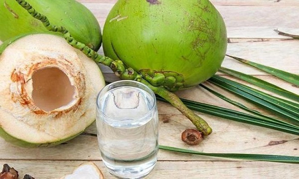Nước dừa là thức uống bổ dưỡng khi bị sốt