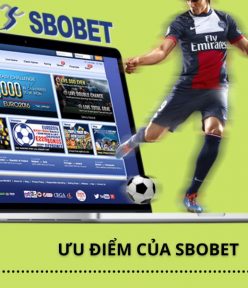 Sbobetsilo.com nơi cung cấp thông tin bóng đá chất lượng nhất