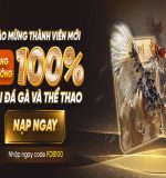 Alo789vn – Nhà cái đá gà online và game trực tuyến số 1 Việt Nam